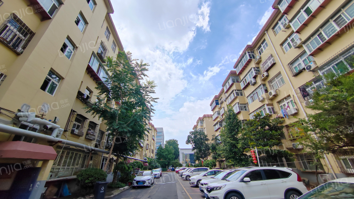 槐村街29号外景图