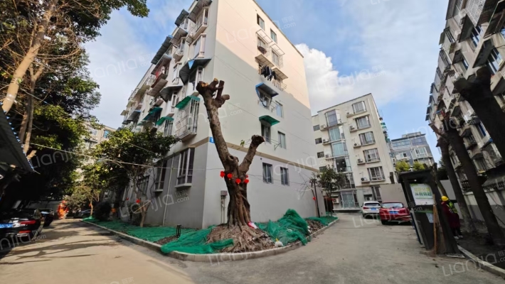 法院家属院外景图