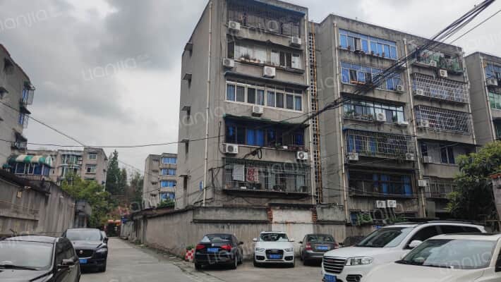 望丛中路121号外景图