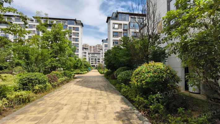 花样年花样城外景图