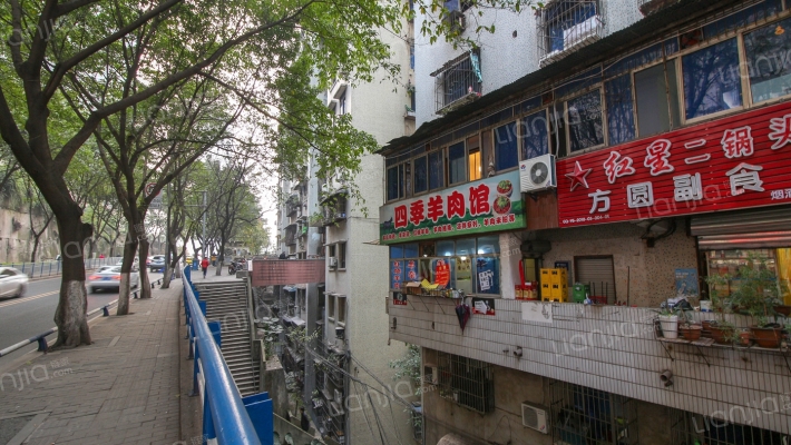 海棠溪正街外景图