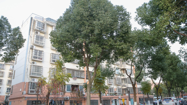 公桥新村外景图