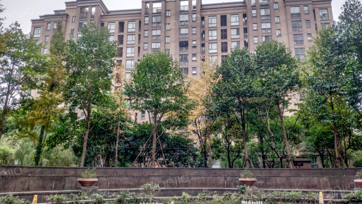 理想家园外景图