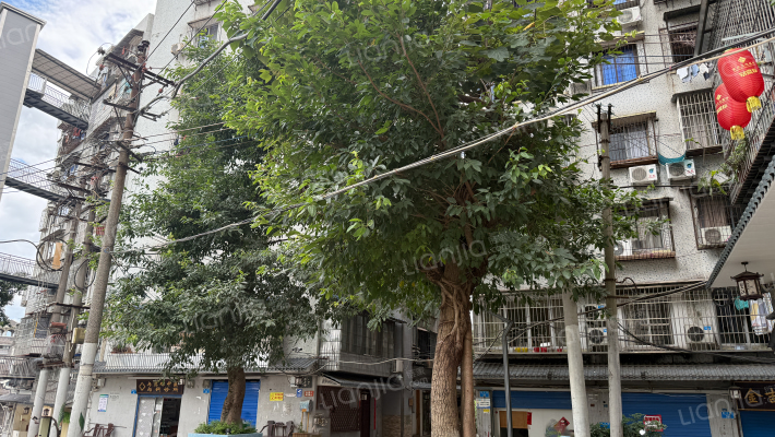 望江路(万州)外景图