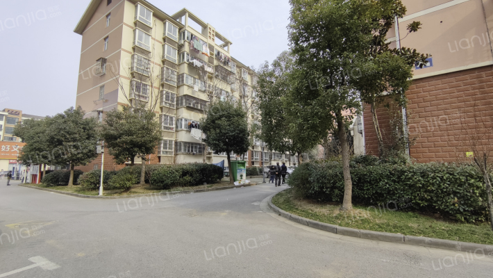 淳新花园 外景图