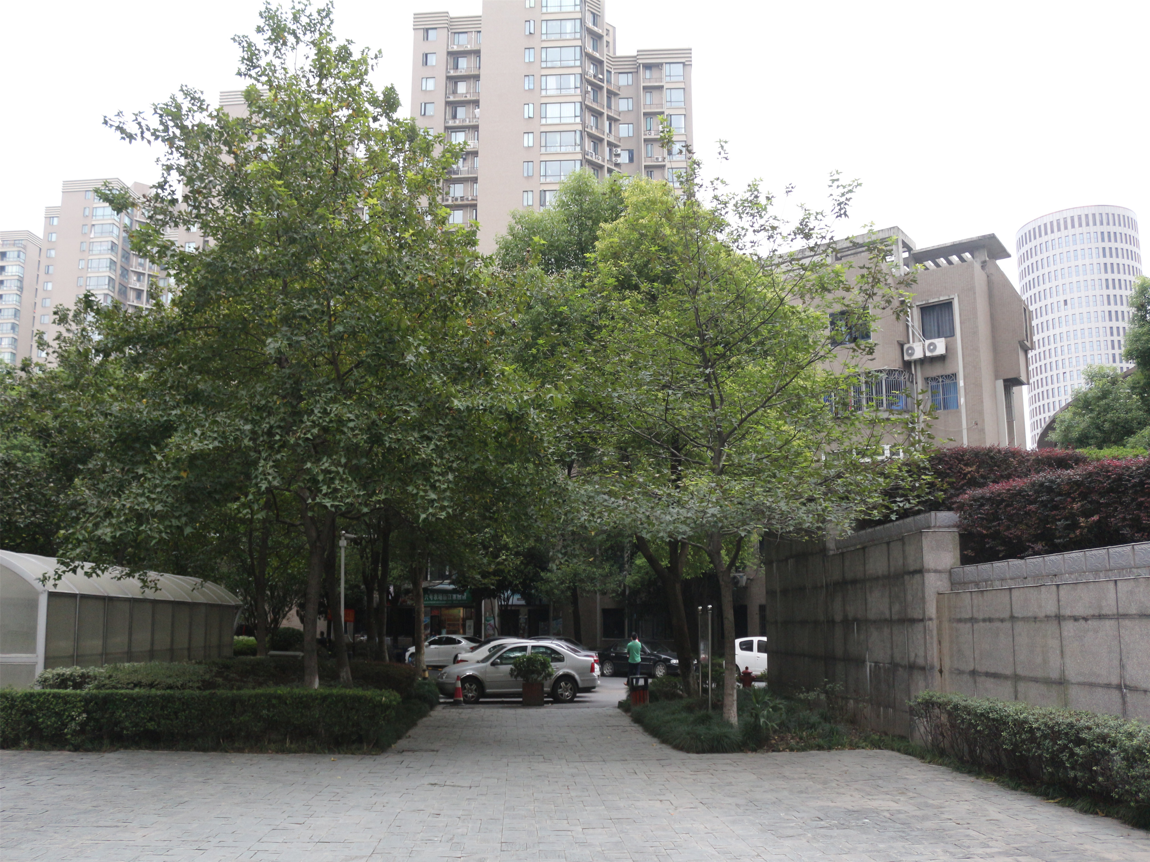 Linjiang Garden compound photo 41