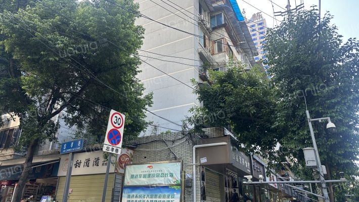 忠孝巷4号外景图