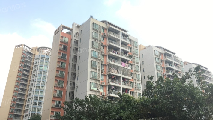 映月翠庭外景图