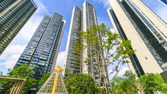 深国际万科和颂轩外景图