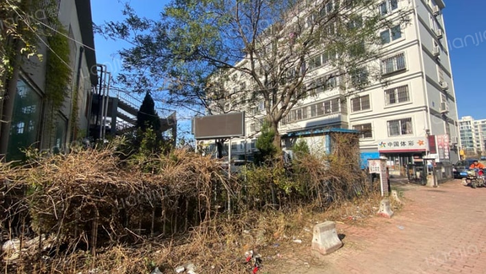 城东红建楼外景图