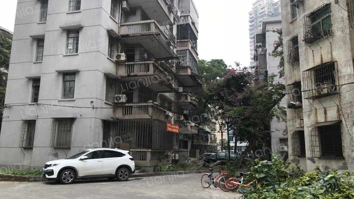 九洲新村外景图