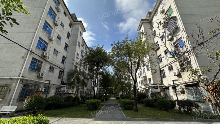 广东省龙眼洞林场宿舍外景图