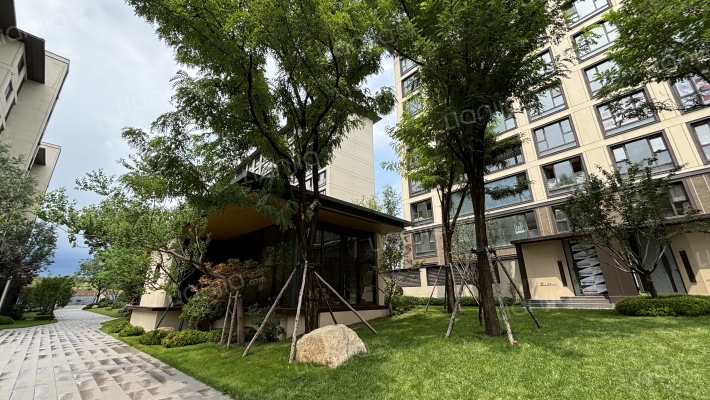 青特滨湖国际外景图