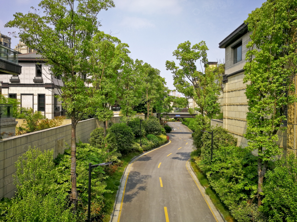 一品漫城四期相册