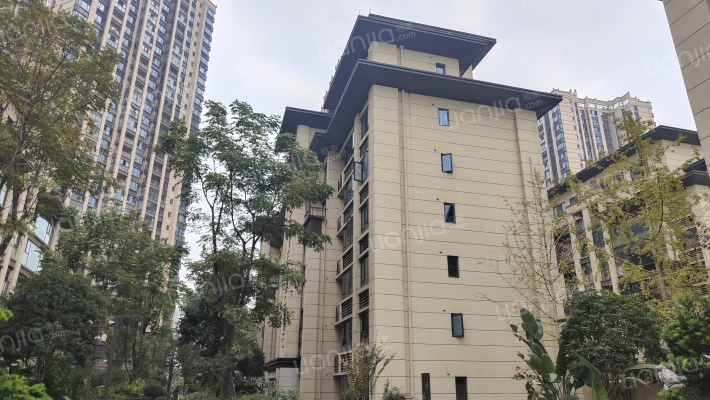 西永九号一组团外景图