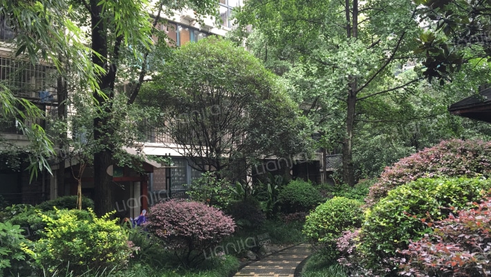 南阳锦城楠枫阁外景图