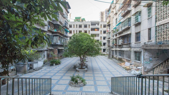 电建一公司子校小区外景图