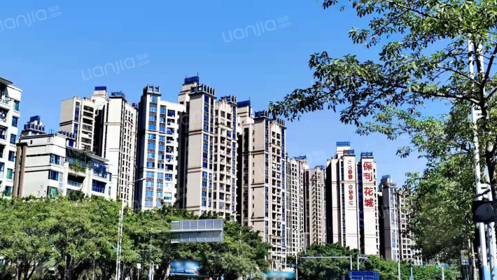 保利花城外景图