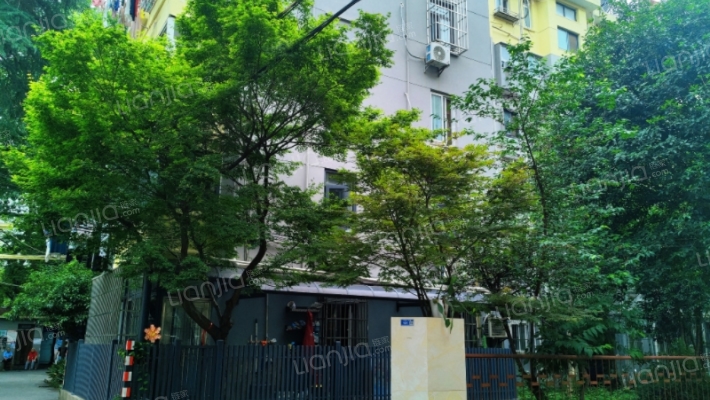 南师大西山外景图