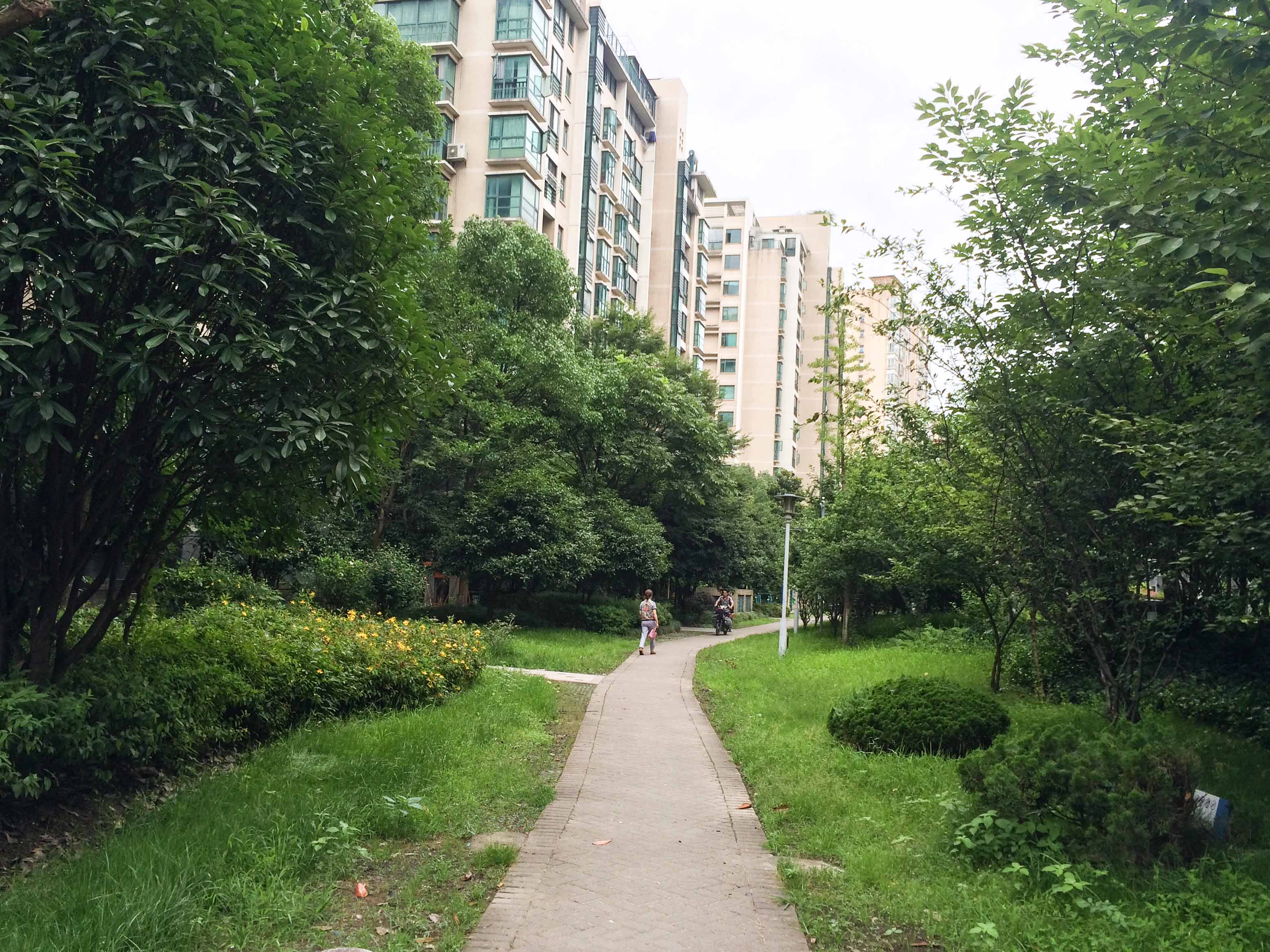 钱塘春晓小区实景 5