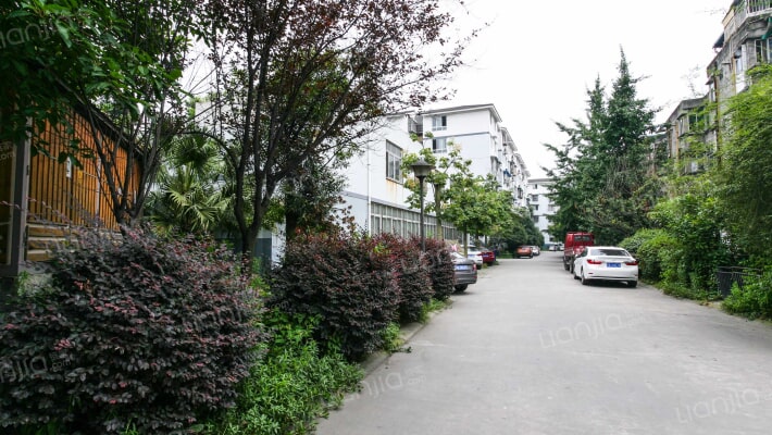 东福苑A区外景图