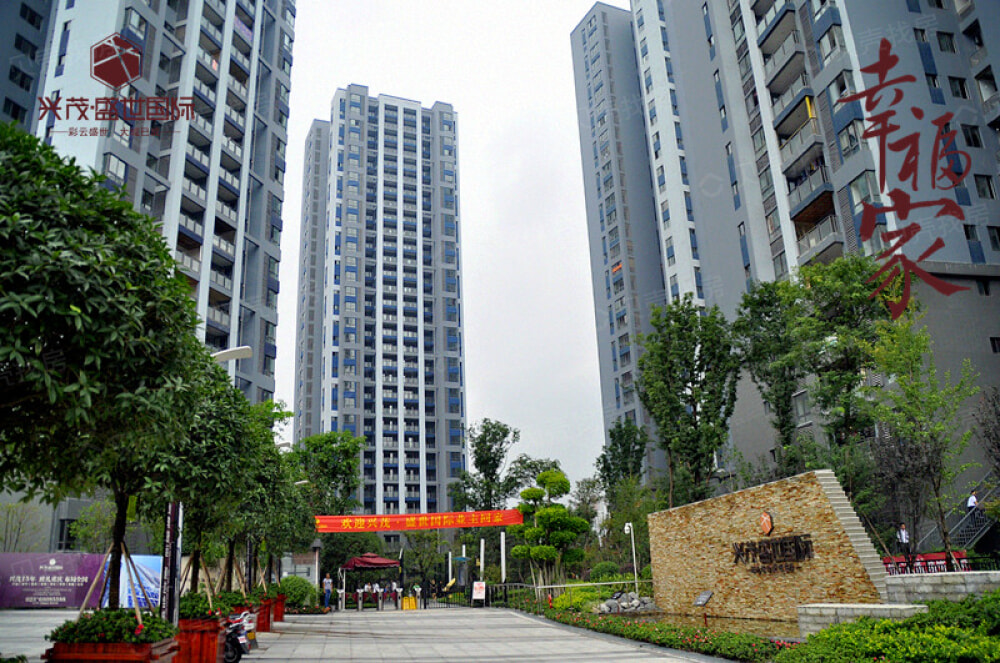 兴茂盛世国际相册