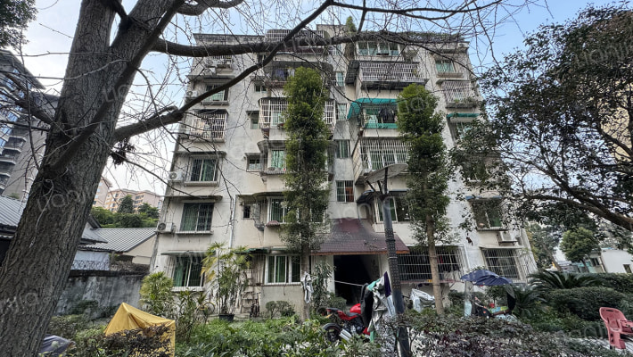 市场管理局家属区外景图