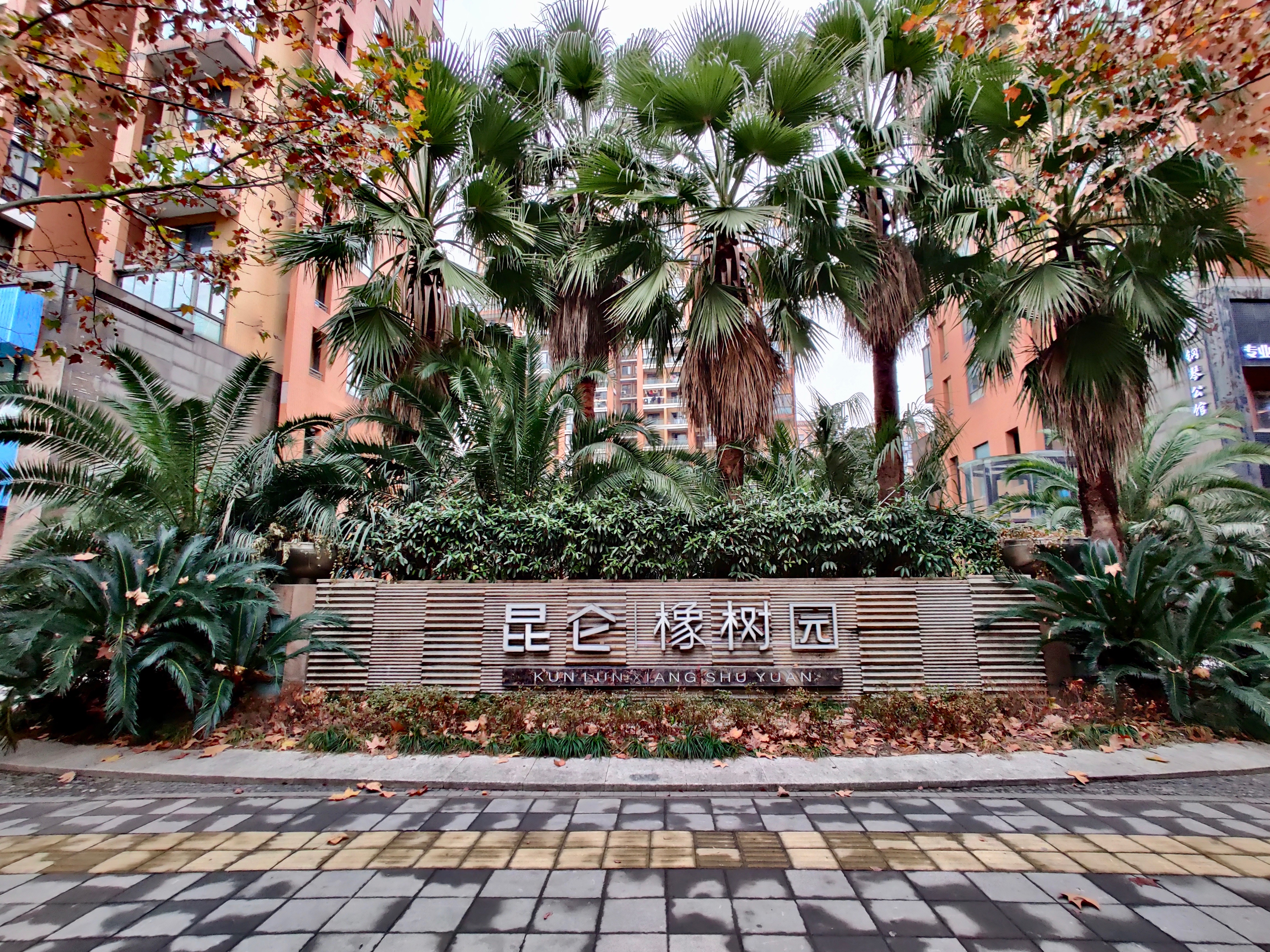  橡树园小区实景 13