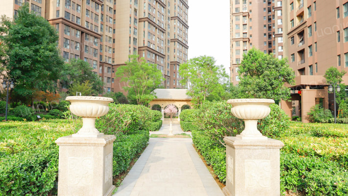 九龙国际外景图