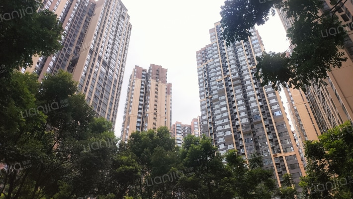 招商依云上城一期外景图