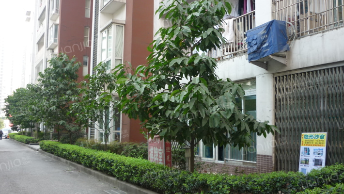 凤鸣戎苑外景图