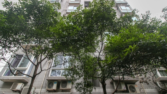 小河春苑外景图