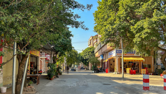 碧江新聚大街外景图