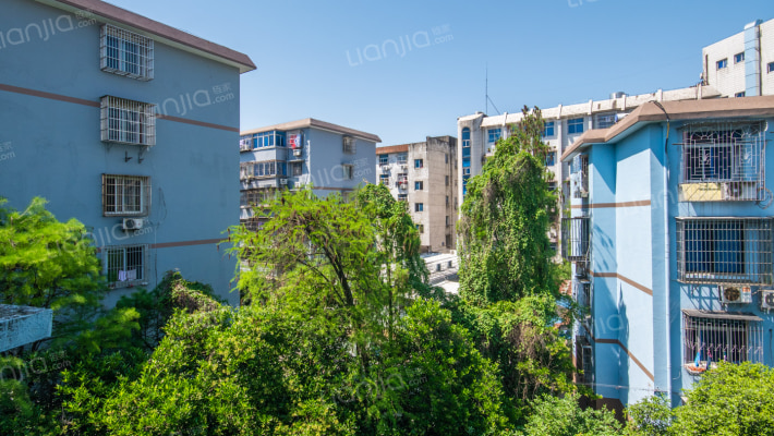 东河路639号外景图