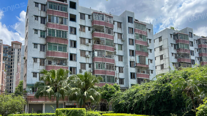 沙头六街外景图