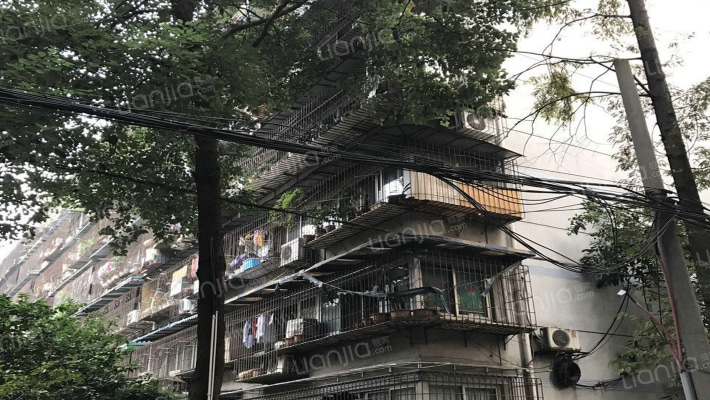 大学路12号外景图