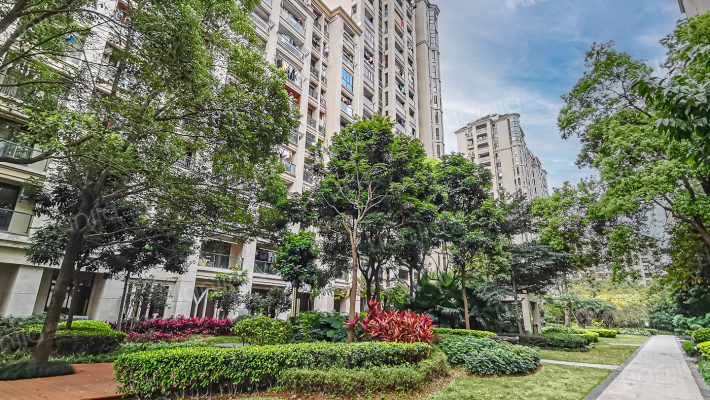 融信宽域外景图