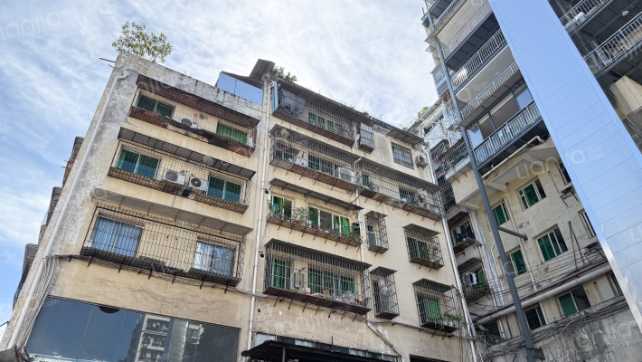 百安大道339号外景图