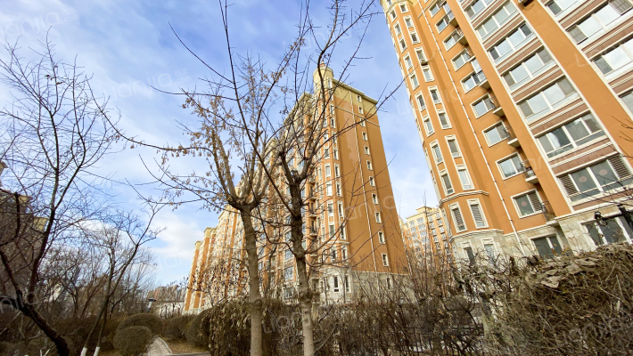 金水花城二期外景图