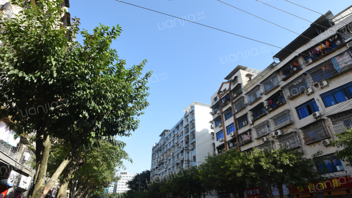 龙吉街散排外景图