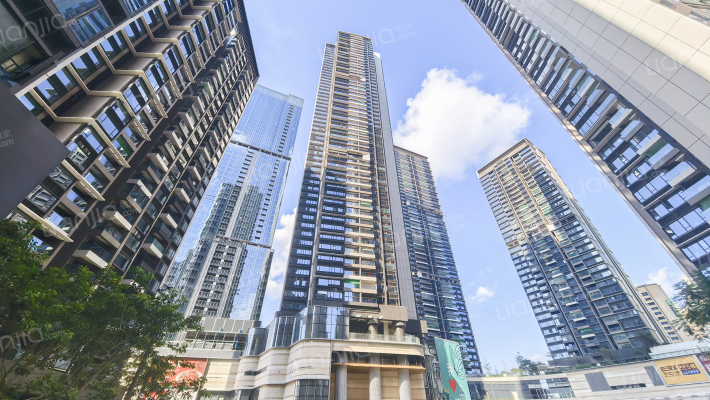 益田御龙华府外景图