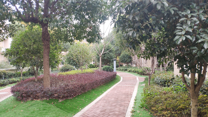 毕加索花园小镇外景图