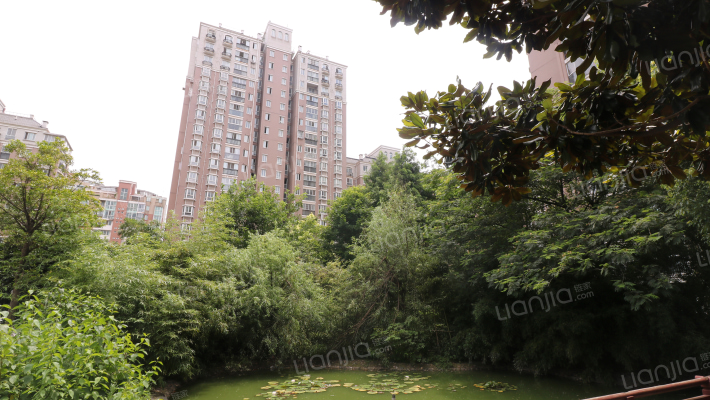 金城丽景南区外景图