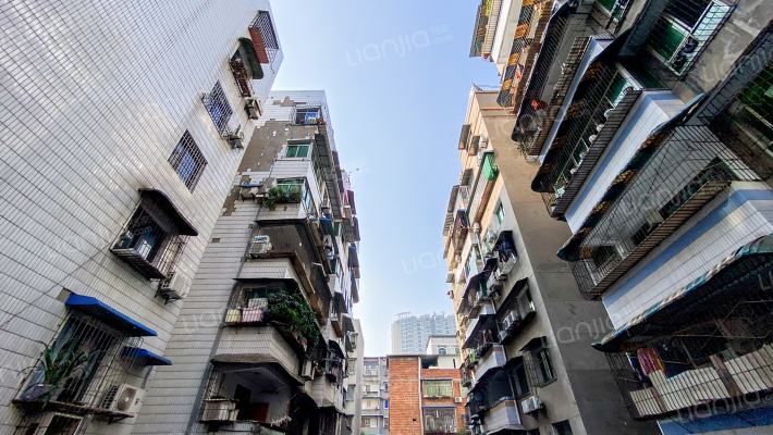 向阳街327-1号外景图