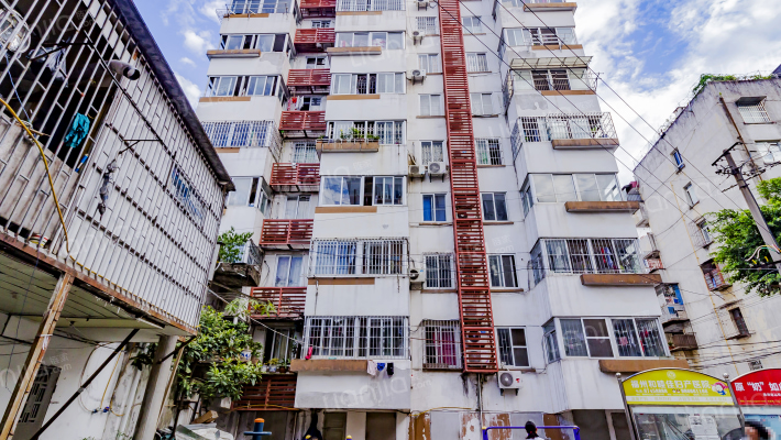 新园新村B区外景图