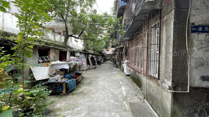 吉麟村一组外景图