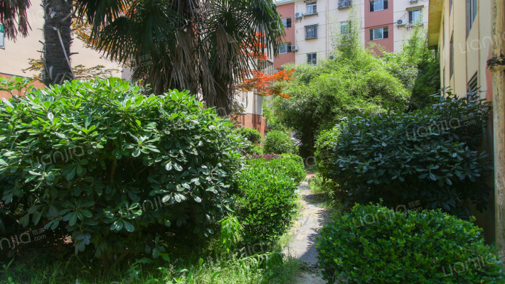 惠德新邨外景图