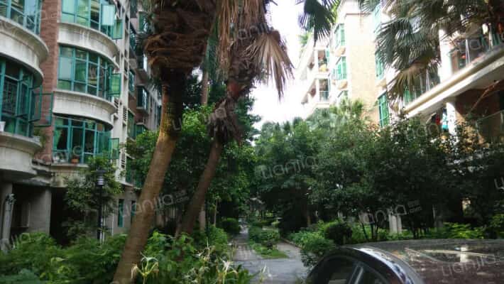 金丰花园明景居外景图