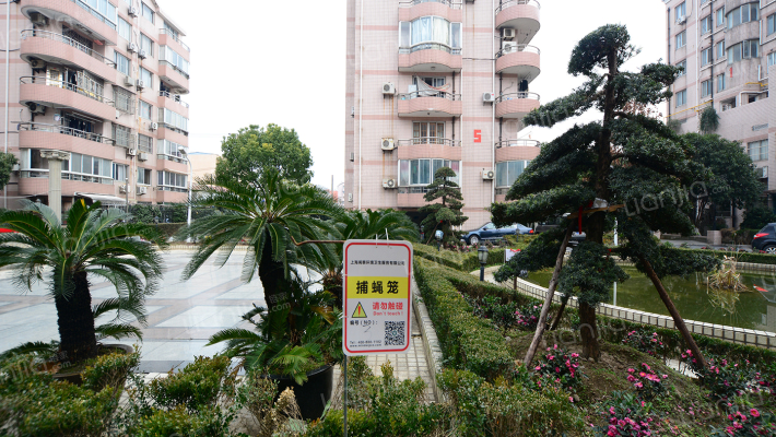 东南路47号外景图