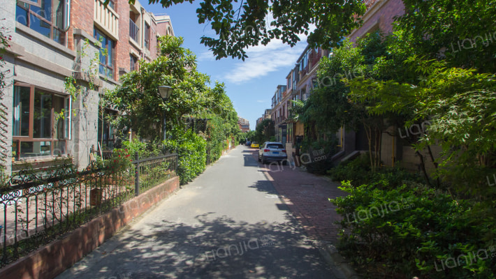 绿地金山名邸别墅